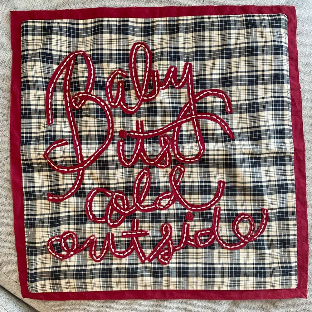 Pottery Barn Holiday Pillow Case